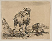 Plate 18: camel viewed from behind with pyramid at left, from 'Various animals' (Diversi animali)