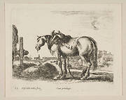 Plate 22: cart horse, from 'Various animals' (Diversi animali)