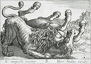 A Lion Biting a Horse's Neck