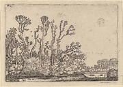 Herd of Sheep near the Hague