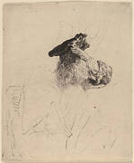 Old Man Shading His Eyes with His Hand