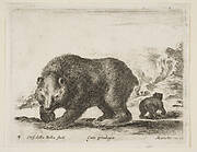 Plate 4: bear, from 'Various animals' (Diversi animali)
